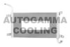 AUTOGAMMA 107494 Radiator, engine cooling